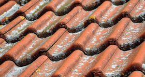 4 Types of Roof Damage to Never Overlook - Roofing Contractor of West Hartford